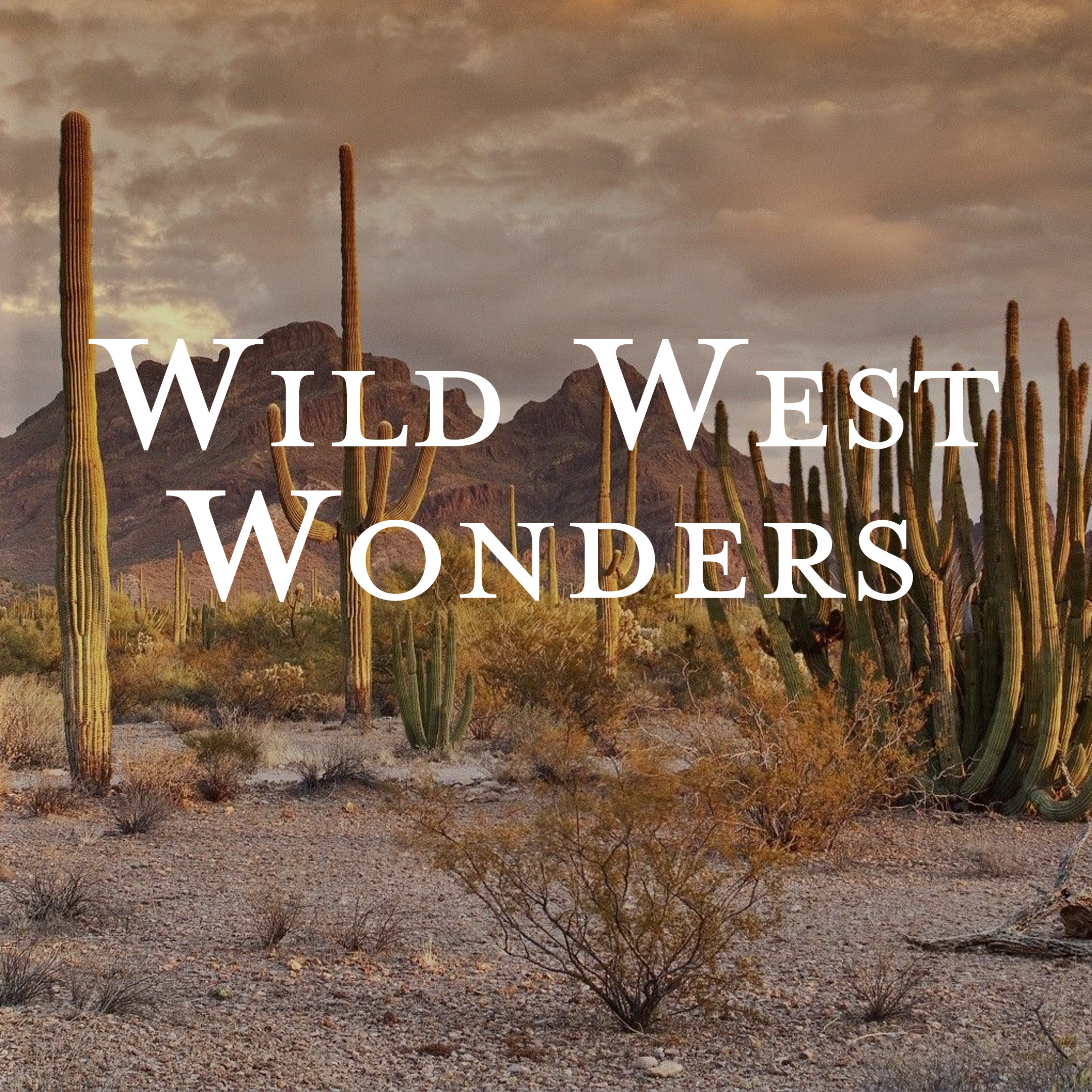 9-12yrs Kids Mixed Media Summer Art Camp</br>Jul 13th - Jul 17th